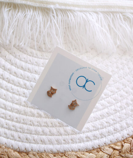 Clous d'oreilles Suivre son Instinct